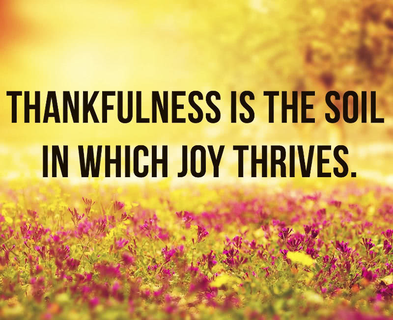 Thankfulness is the soil in which joy thrives.