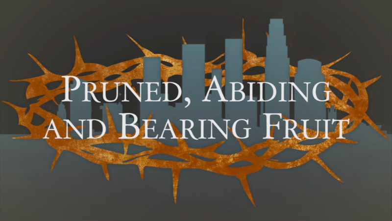 Pruned, Abiding, and Bearing Fruit